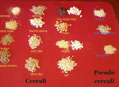 14 tipi di cereali o pseudocereali